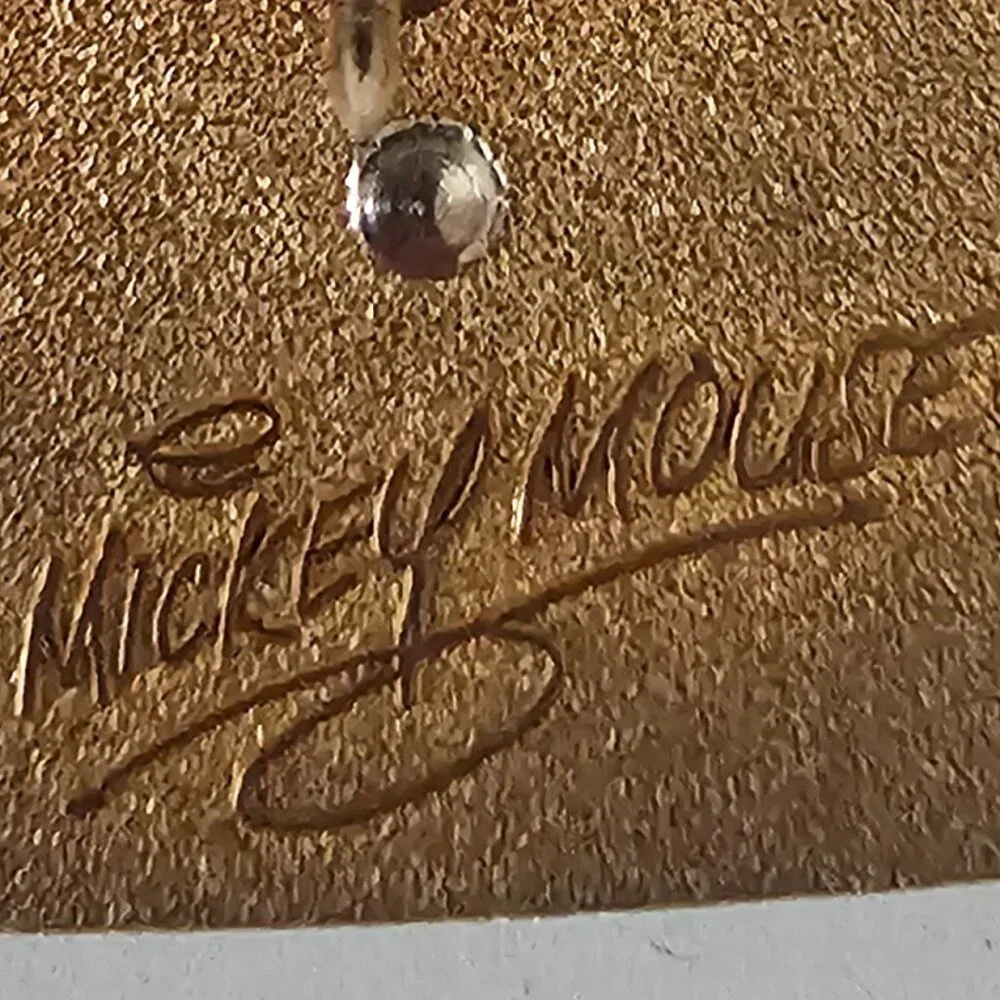 DISNEY Pin Trading ~ Mickey Mouse Club Ears ~ Flocked/Autograph/3D ~ 2004 - Picture 8 of 10